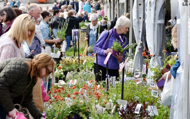 50 years of Harrogate Autumn Flower Show