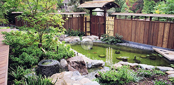 How to create a Japanese garden
