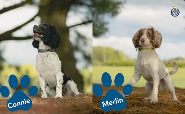 Digital dogs ready to help fight crime battle