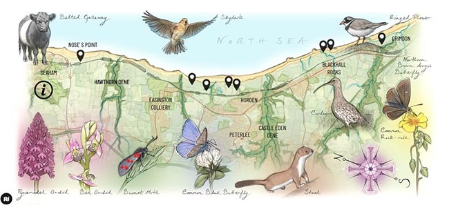 Charity putting Durham’s Heritage on the 3D map!