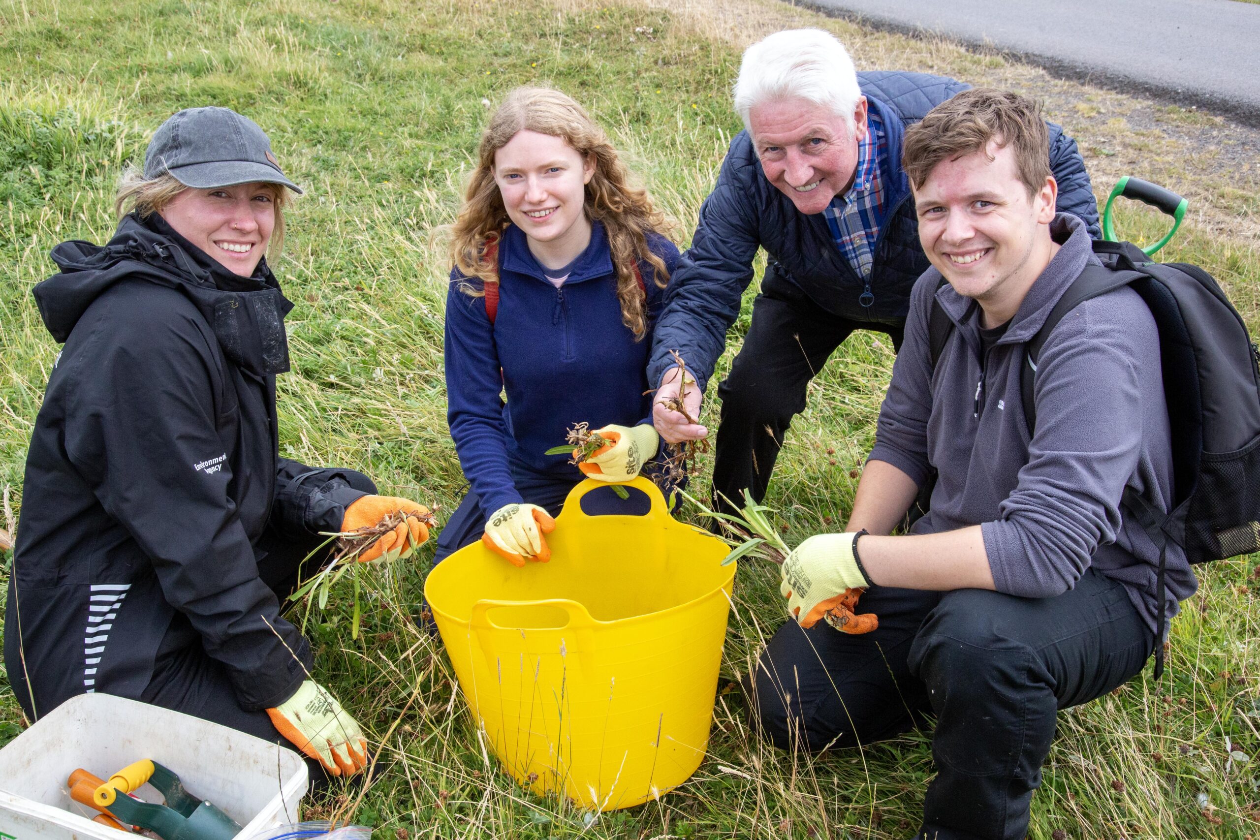 Wild orchids are relocated in ‘delicate conservation operation