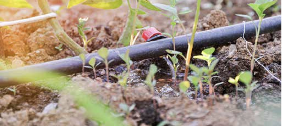 Time to take the leg work out of watering the garden