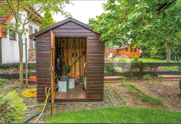 Time to turf out the garden thieves