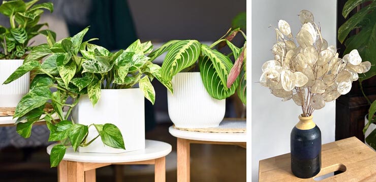 Freshen up your home!
