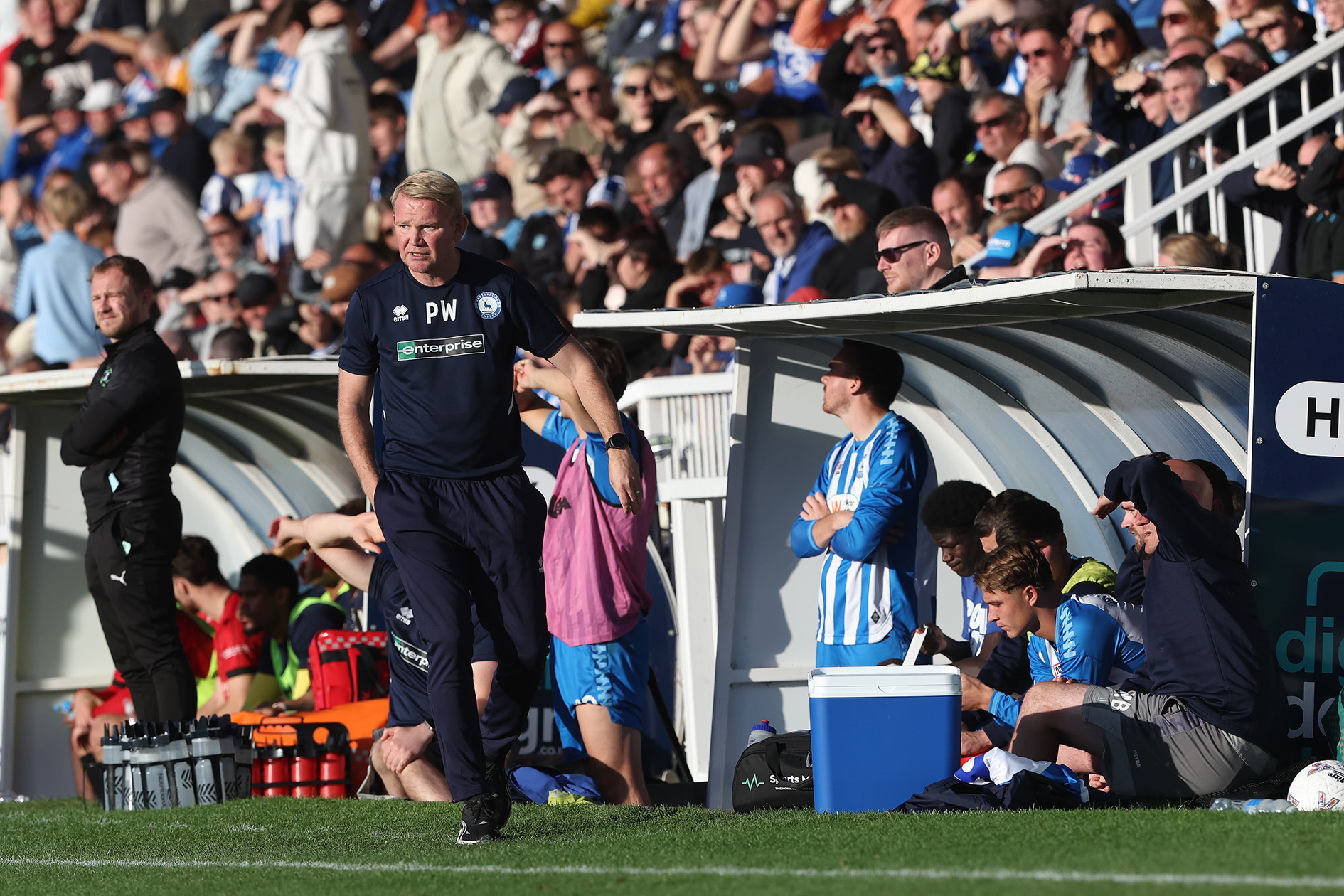 Pete Wild: Hartlepool United is three-year plan not short-term fix