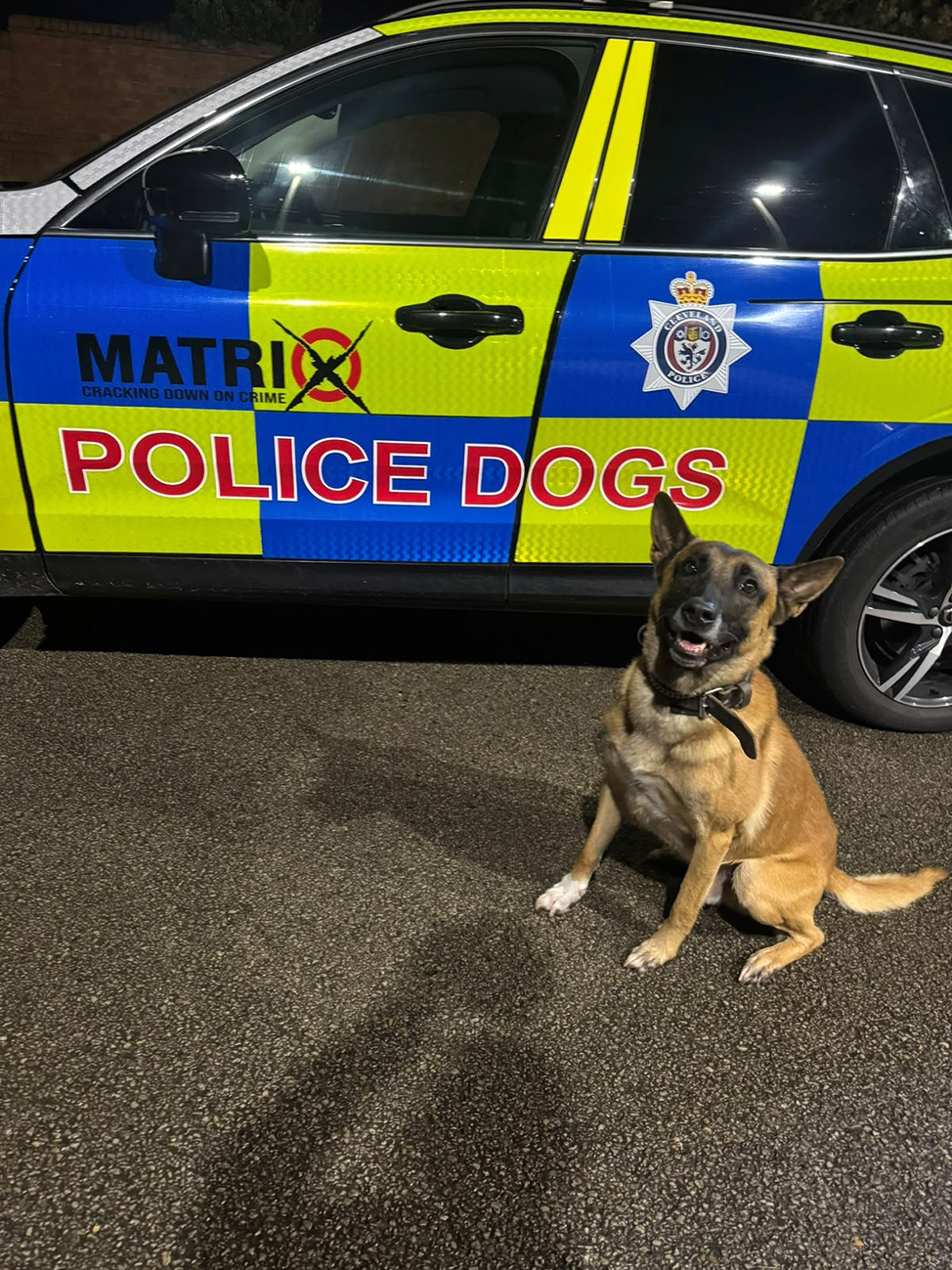 Retirement means no more ‘collars’ for police dog Harley